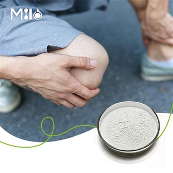 Kondroitinsulfat pulver