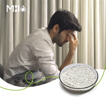 Gamma Oryzanol pulver